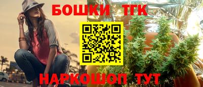 МДПВ Пугачёв