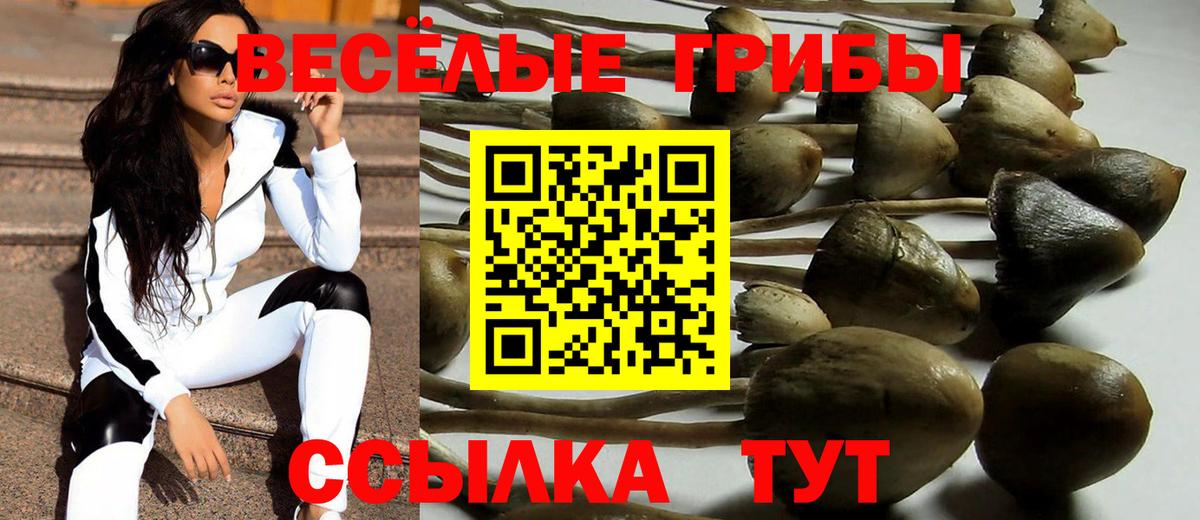 Сафоново  Псилоцибиновые грибы Psilocybe  Вход с VPN 