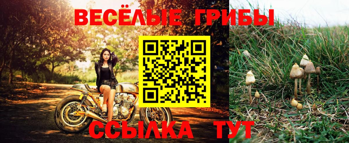 Псилоцибиновые грибы Magic Shrooms Сафоново